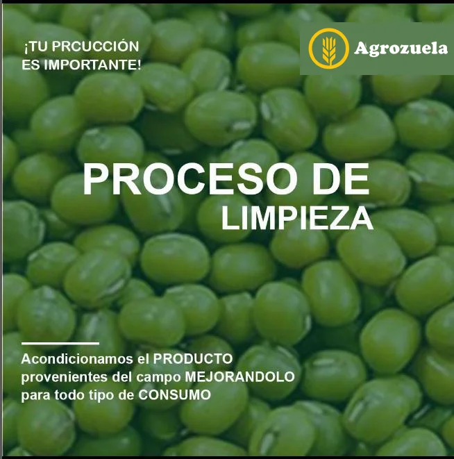 processing of green mung beans
